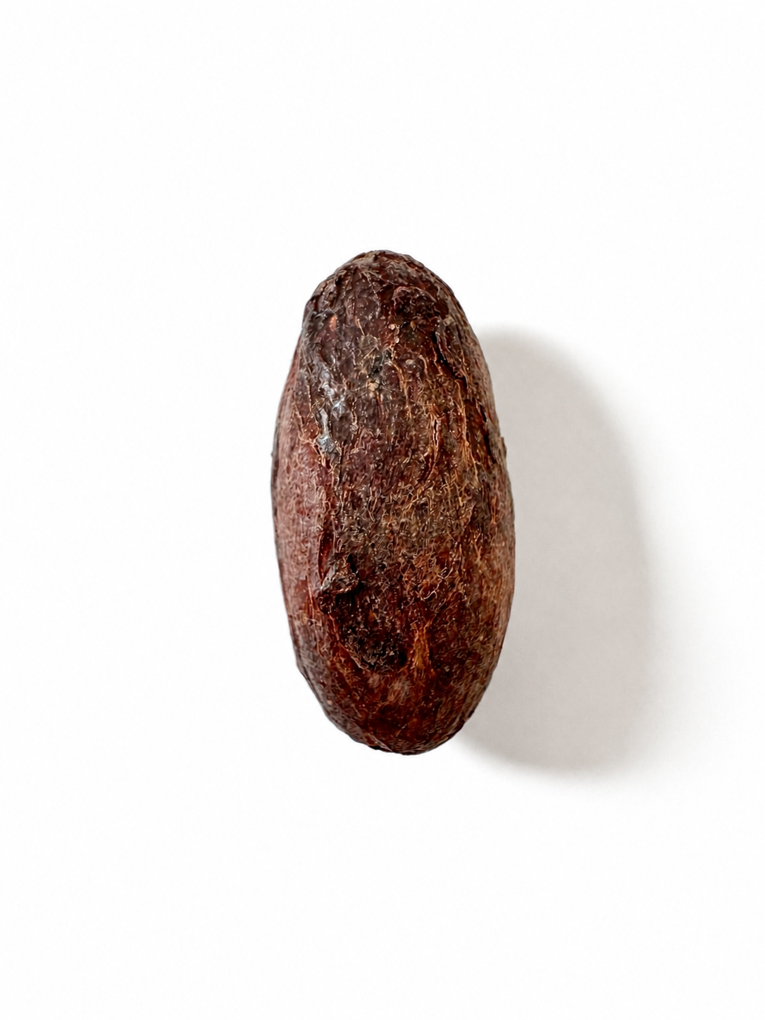 Specialty Cacao -  mehr als nur Kakao
